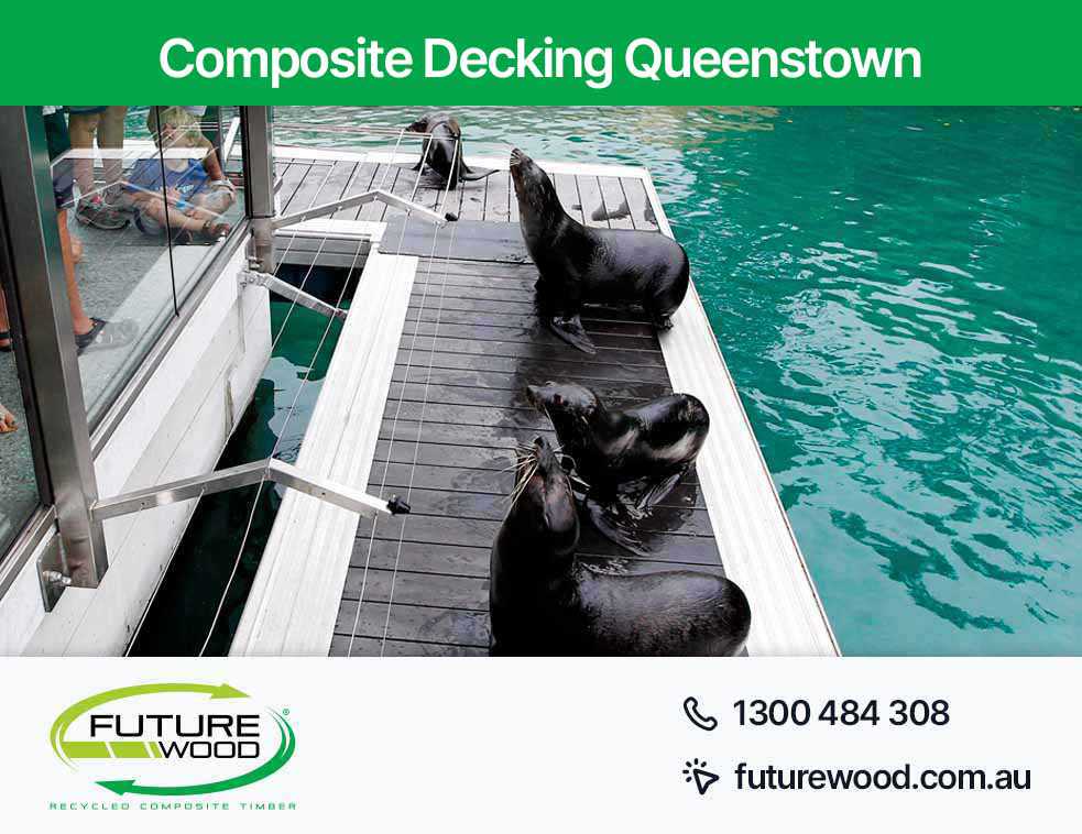 A gathering of sea lions on a dock made of composite deck boards in Queenstown