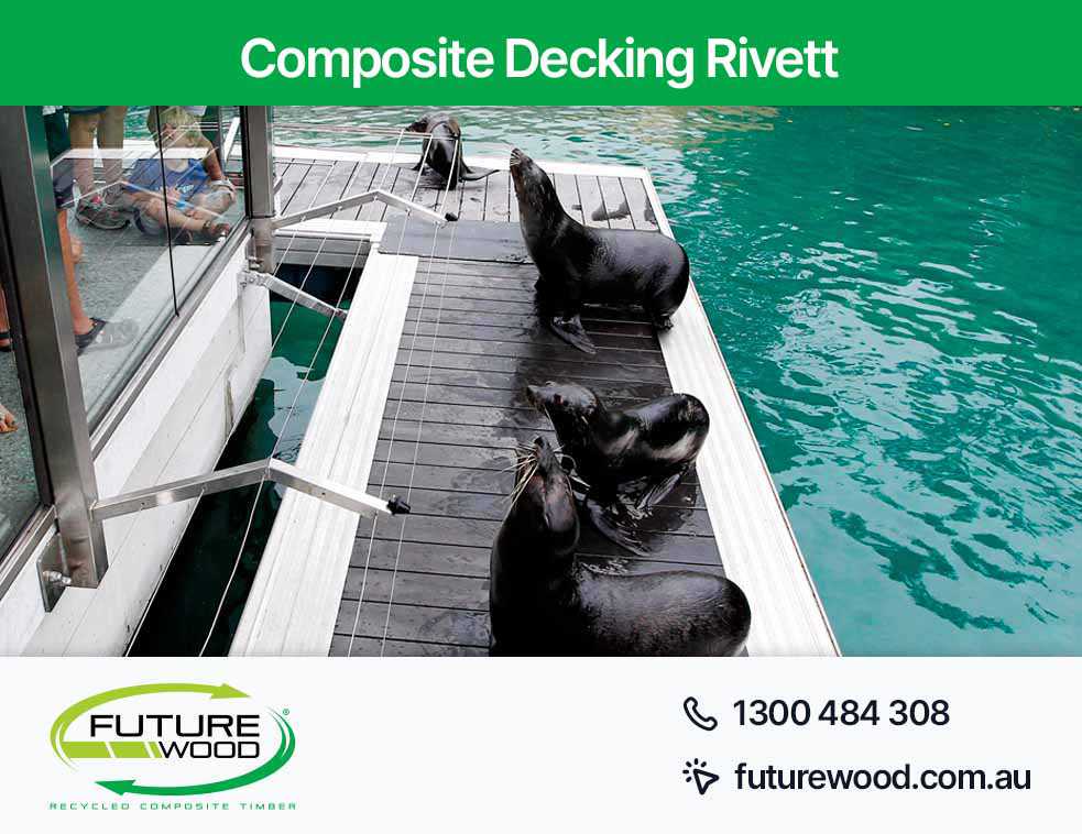 Picture of sea lions lounging on a composite deck boards dock in Rivett